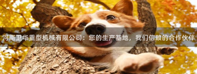万事达娱乐程善良
