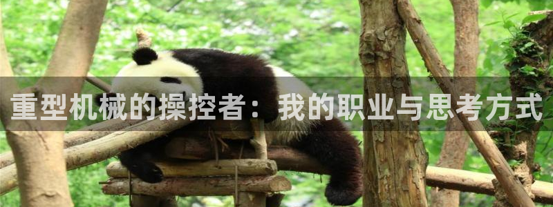 万事博娱乐场