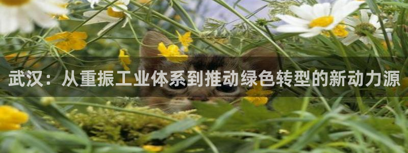 河南信阳万事娱乐