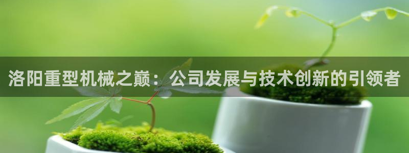 万事达娱乐程善良